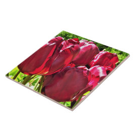 赤チューリップセラミックタイル タイル