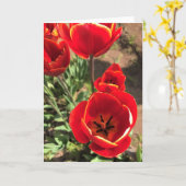 赤チューリップ内側 カード (黄色い花)