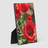 赤チューリップ内側 フォトプラーク (側面)