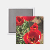 赤チューリップ内側 マグネット (正面/裏面)