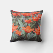 赤チューリップ野 クッション (裏面)