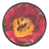 赤チューリップ アイスホッケーパック (正面)