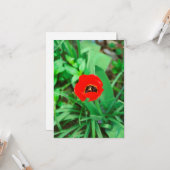 赤チューリップ カード (正面/裏面インサイチュ)