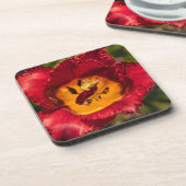 赤チューリップ コースター (左側)