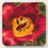 赤チューリップ コースター (正面)