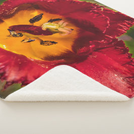 赤チューリップ シェルパブランケット