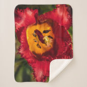 赤チューリップ シェルパブランケット (正面)