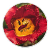 赤チューリップ セラミックノブ (正面)