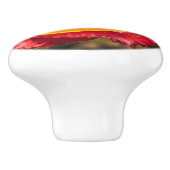 赤チューリップ セラミックノブ (側面)