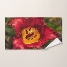 赤チューリップ