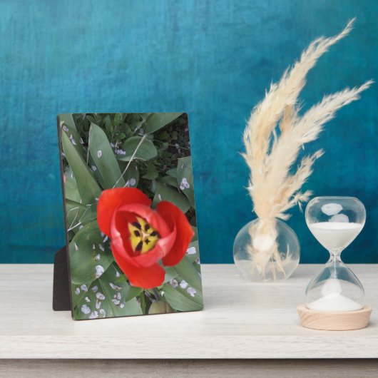 赤チューリップ フォトプラーク (側面)