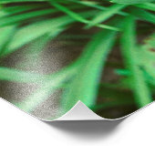 赤チューリップ フォトプリント            (角)