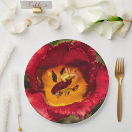 赤チューリップ ペーパープレート