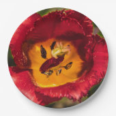 赤チューリップ ペーパープレート (正面)