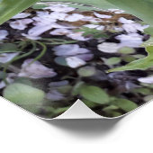 赤チューリップ ポスター (コーナー)