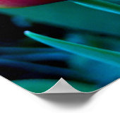 赤チューリップ ポスター (角)