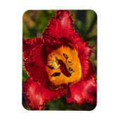 赤チューリップ マグネット (縦)