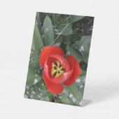 赤チューリップ 台座サイン (正面)