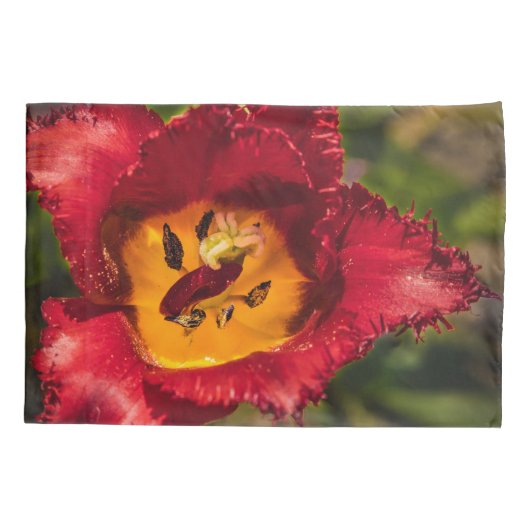 赤チューリップ 枕カバー (裏面)