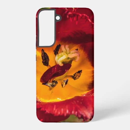 赤チューリップ SAMSUNG GALAXYケース (裏面)