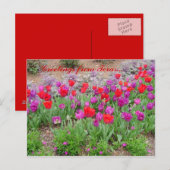 赤テキサス州挨拶 ポストカード (正面/裏面)