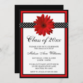 赤デイジー水玉模様卒業発表 招待状 (正面/裏面)