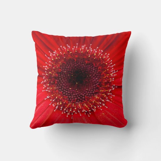 赤デイジー クッション (裏面)