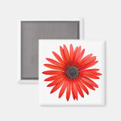 赤デビル マグネット (正面/裏面)