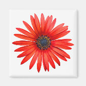 赤デビル マグネット (正面)