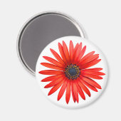 赤デビル マグネット (正面/裏面)