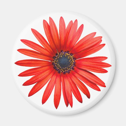 赤デビル マグネット (正面)