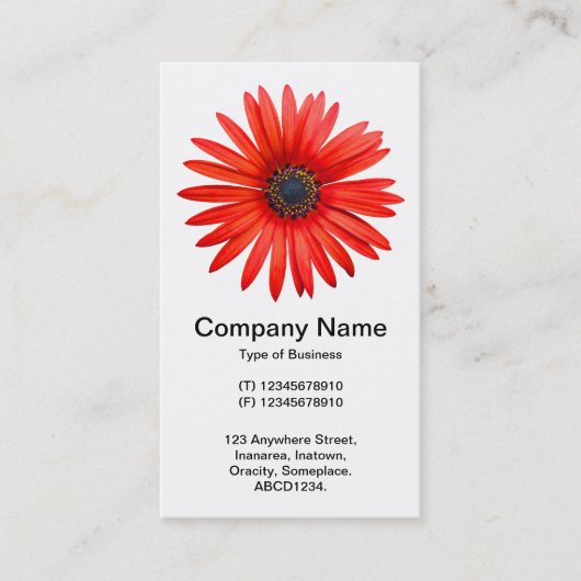 赤デビル 名刺 (正面)