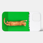 赤トラ猫が紙を引き裂く Case-Mate iPhoneケース iPhone 13ケース (裏面 (横))