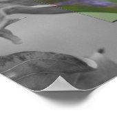 赤トンボの部分色 ポスター (角)