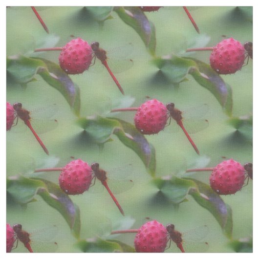 赤トンボ昆虫の自然パターン ファブリック (見本)