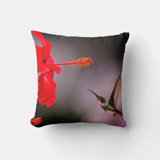 赤ハイビスカスハミングバードダークバックグラウンド クッション (正面)