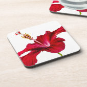 赤ハイビスカスフラワーサイドビュー コースター (左側)