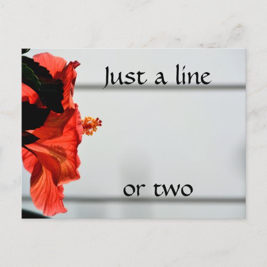 赤ハイビスカスフラワー写真植物園 ポストカード (正面)