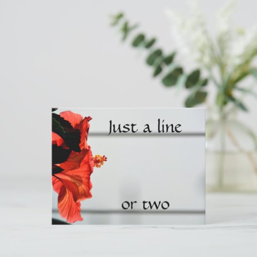 赤ハイビスカスフラワー写真植物園 ポストカード (スタンド正面)