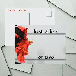 赤ハイビスカスフラワー写真植物園 ポストカード