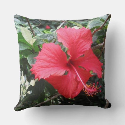 赤ハイビスカス熱帯枕 クッション (裏面)