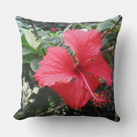 赤ハイビスカス熱帯枕 クッション (正面)