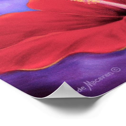 赤ハイビスカス熱帯絵画花の花 – ポスター (角)