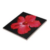 赤ハイビスカス タイル (側面)