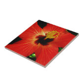 赤ハイビスカス タイル (側面)