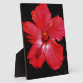 赤ハイビスカス フォトプラーク (側面)