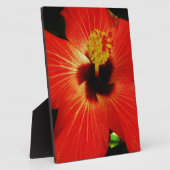 赤ハイビスカス フォトプラーク (側面)