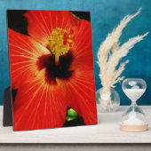 赤ハイビスカス フォトプラーク (側面)