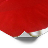 赤ハイビスカス ポスター (角)