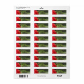 赤ハイビスカス ラベル (フルシート)